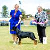 Le Fevre Kennel Club 2018 MPIS - Mrs H Beasley