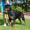 Flame @ 17 months